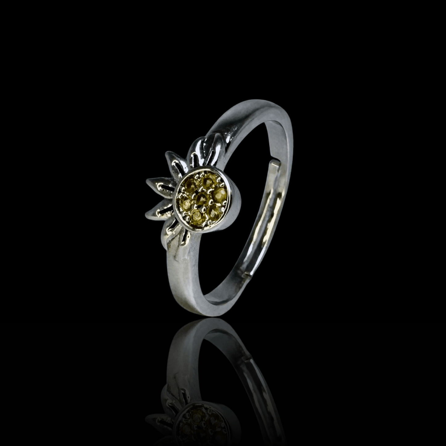 Solar & Lunar Ring